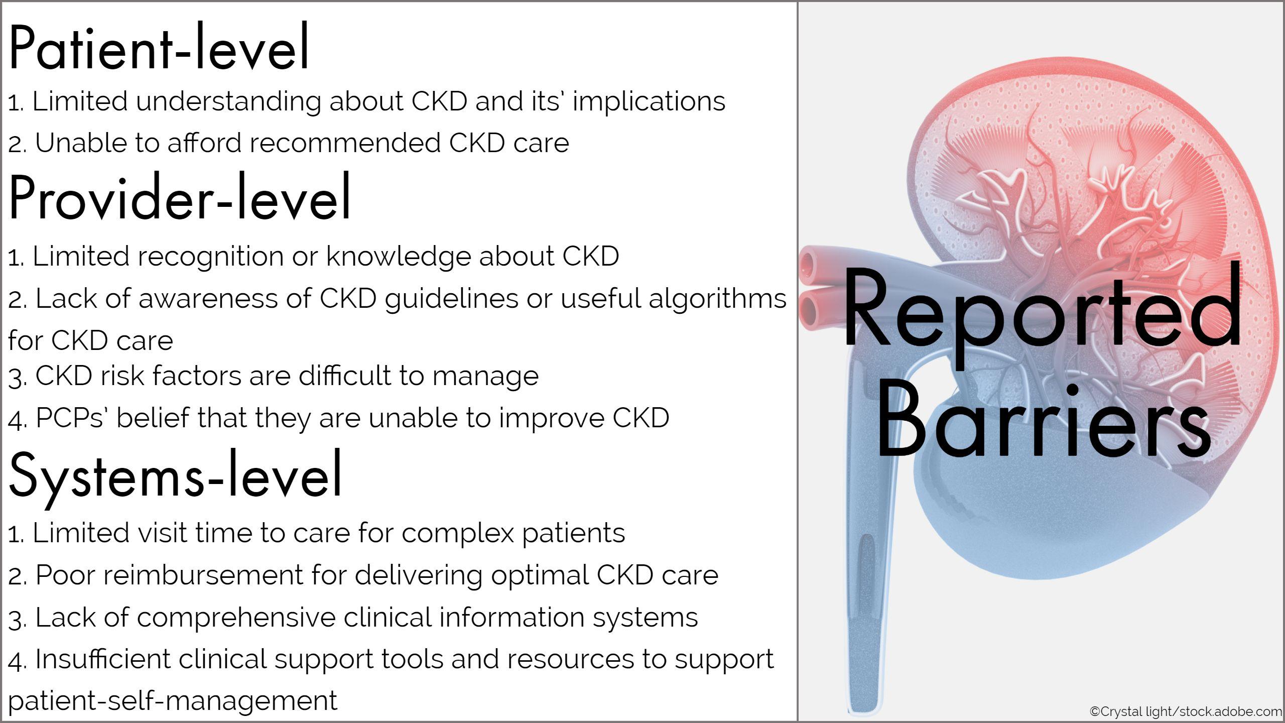 primary care physicians report barriers to chronic kidney disease, renal disease