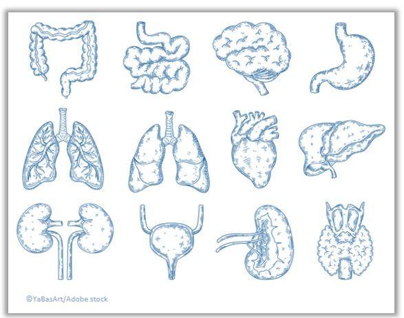 Comorbidity Burden in T2D Patients Varies Widely, Becomes More Diverse Over Time 