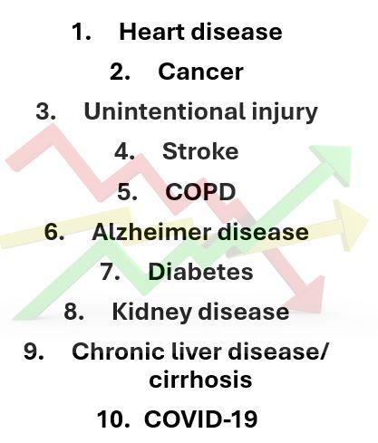 Top 10 Causes of Death in 20231