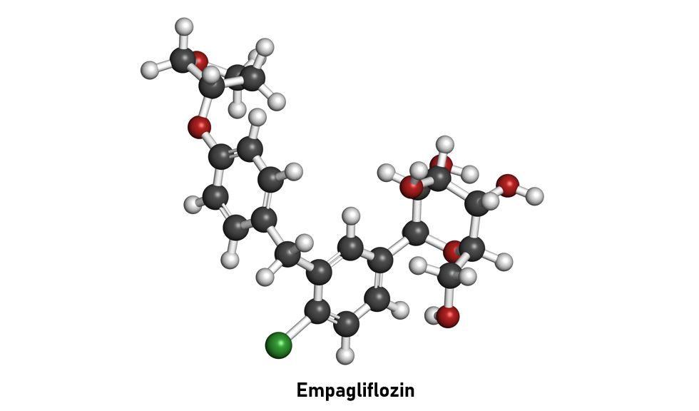 Risk for HF Hospitalization in Type 2 Diabetes Lower with First-line SGLT-2 Inhibitor vs Metformin 