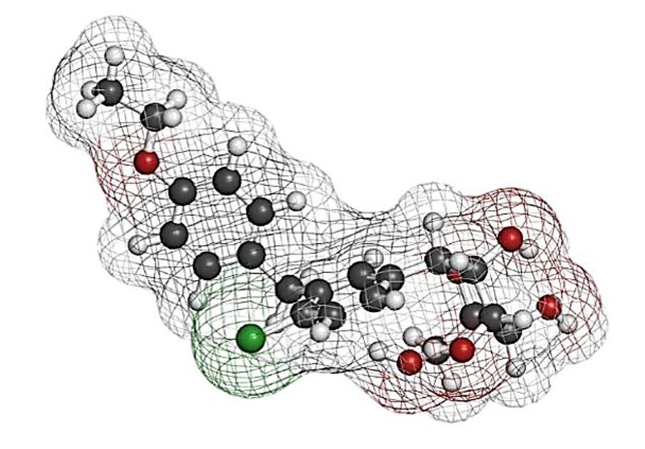 SGLT2 Inhibitor Reduces CV, Renal Events in Type 2 Diabetes