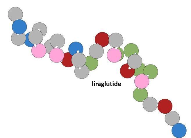 Liraglutide may have antiresorptive effects on bone in T2D 