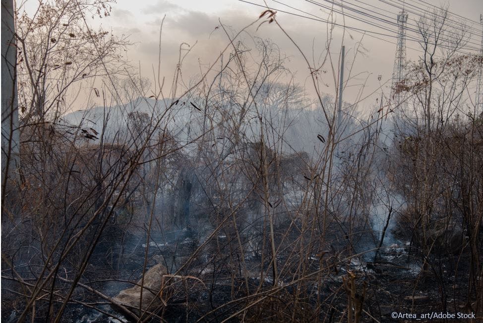 Air Pollution Linked to Parkinson Disease with Regional Differences, Hot Spots Identified