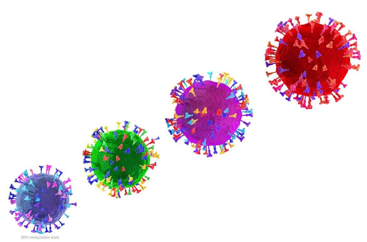 COVID-19 Reinfection: Snapshot of the Pathology