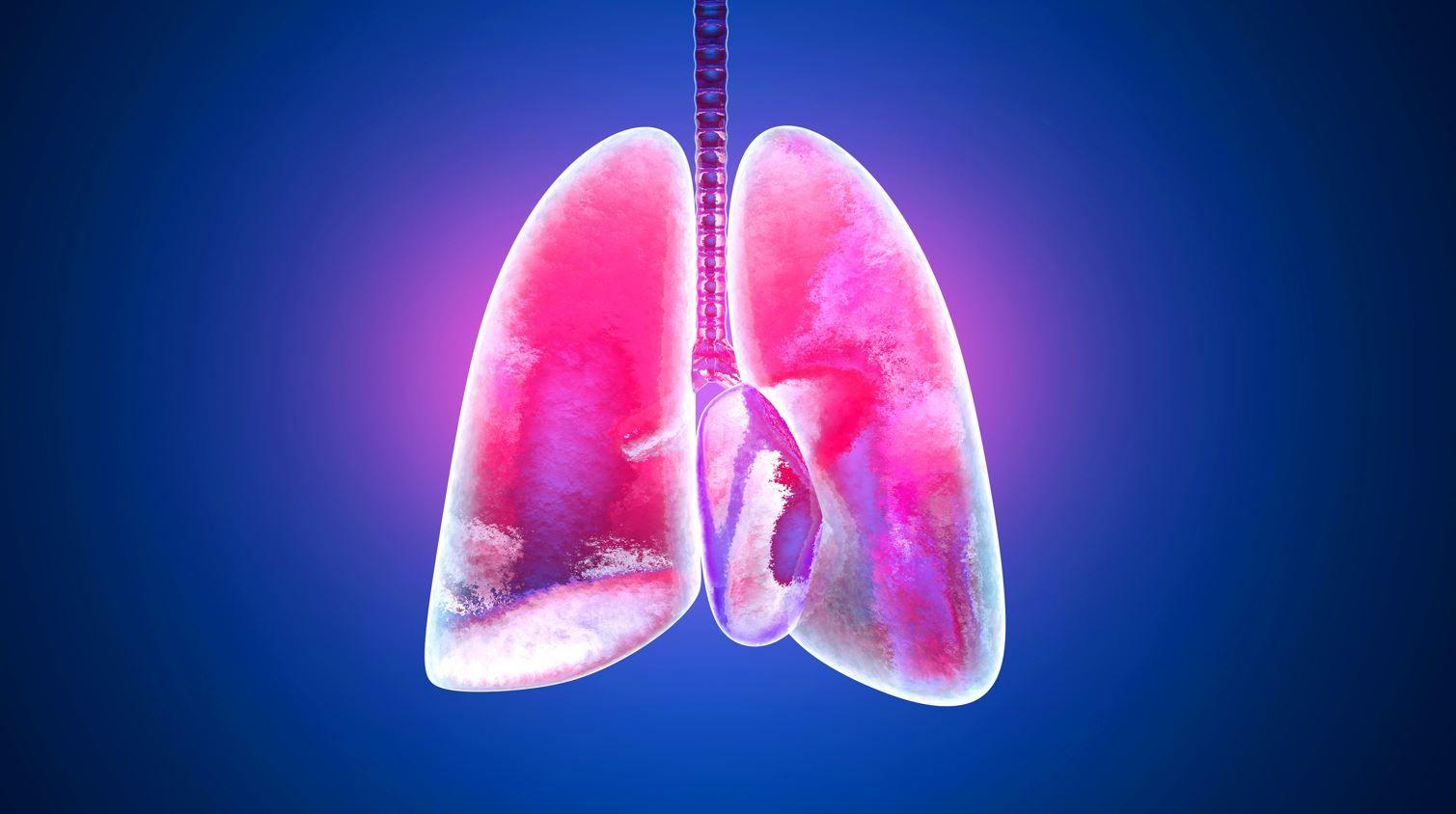 Fixed-dose Albuterol/Budesonide Superior to Components for Asthma in Dual Phase 3 Trials 