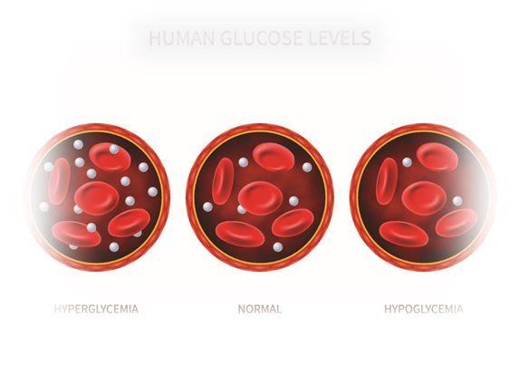 Hypoglycemia and Mortality: A Post Hoc Look at LEADER