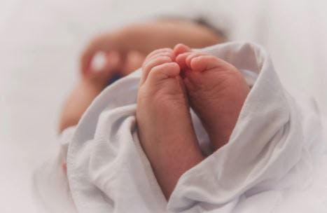  / image credit newborn: ©unsplash/stock.adobe.com