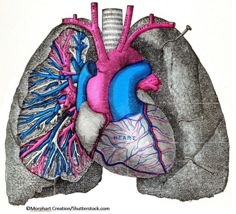 Asthma Linked with Incident CVD in Framingham Offspring Cohort Analysis 