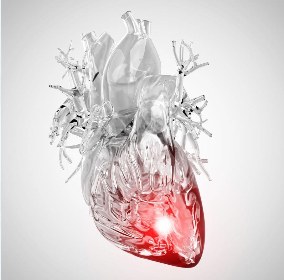 Residual Inflammation in Statin-treated Patients Linked to Greater Risk for MACE, Mortality vs Residual Cholesterol 