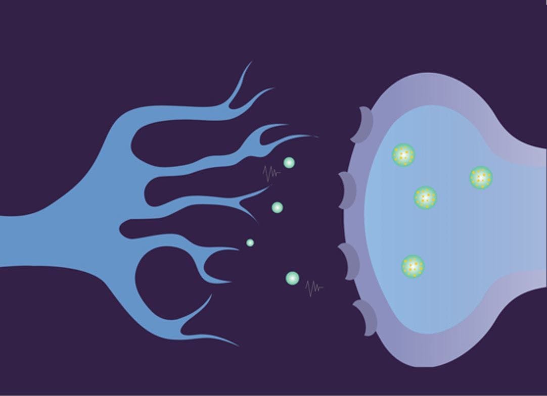 Chronic Hepatitis C Virus Infection Tied to Parkinson Disease