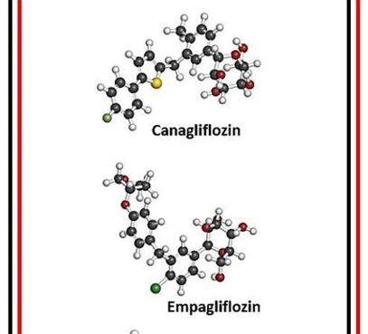 SGLT-2 Inhibitors Linked to Reduced Risk for Wide Range of Cancers in Study  from Taiwan