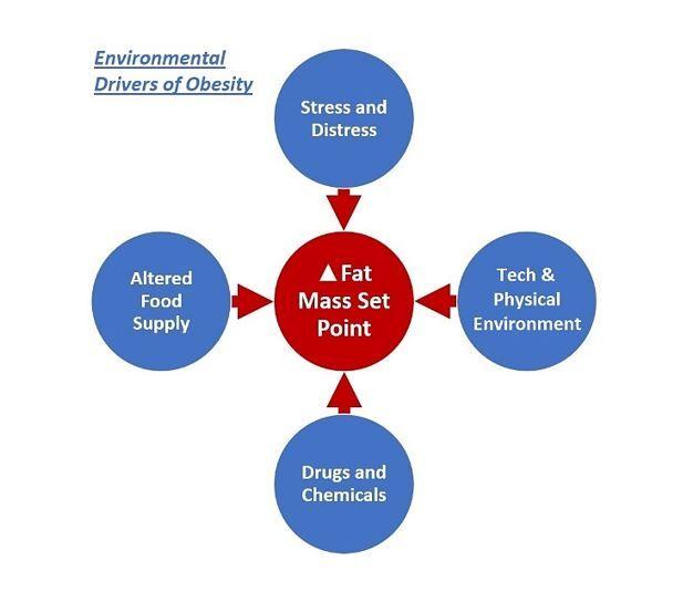 Physiology of obesity, environmental drivers of obestiy 