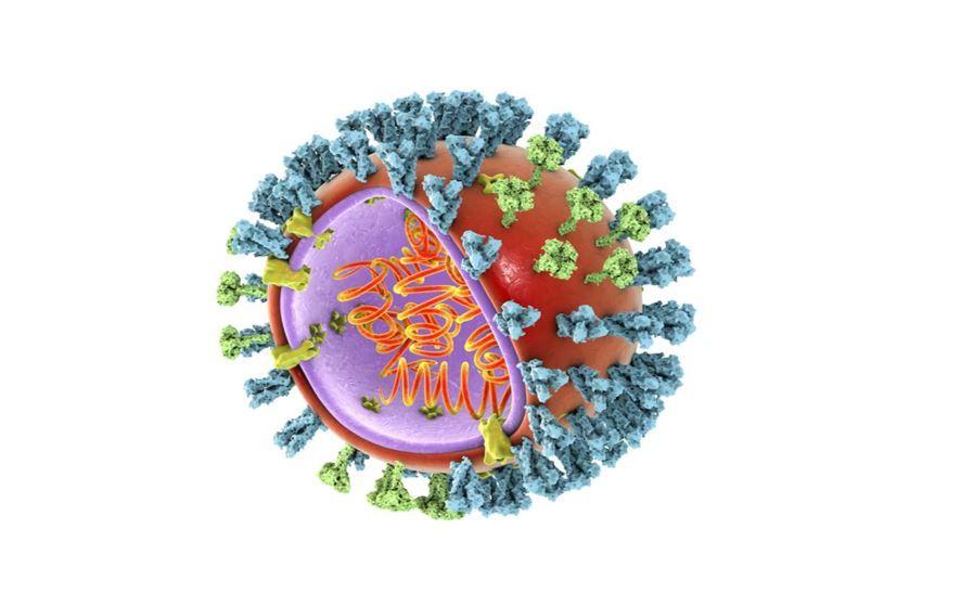 COVID-19 and Influenza: How Can We Mitigate Certain Calamity?