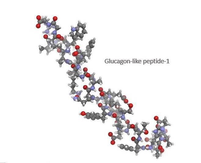 Novel Dual-mechanism Agent Acts on Diabetes, Metabolic Complications