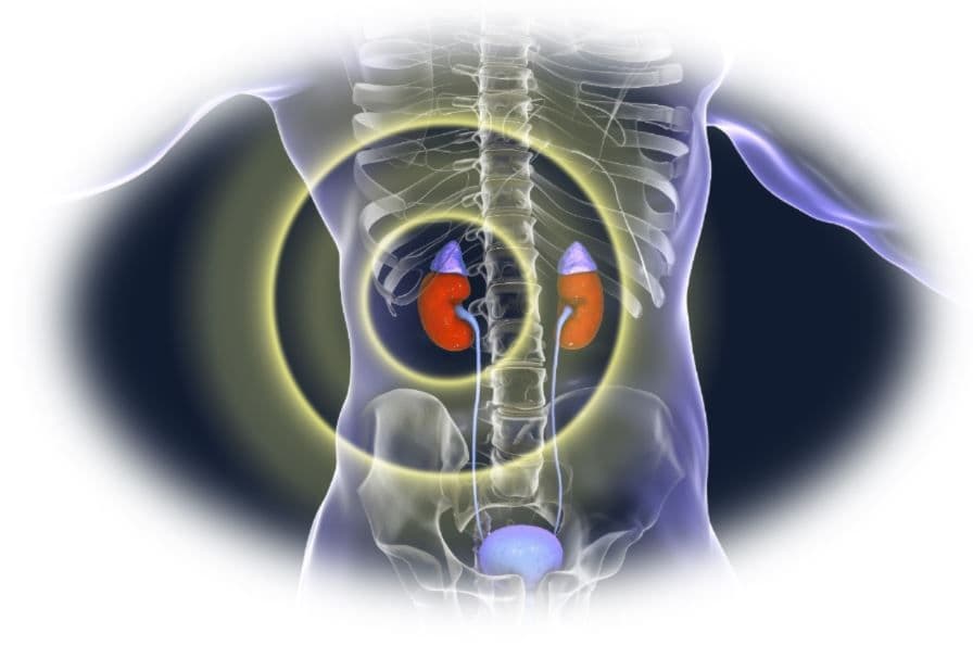 Management of chronic kidney disease in primary care 