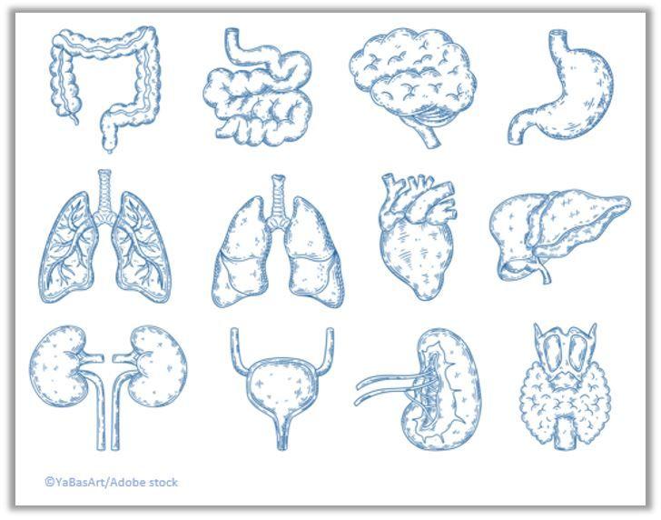 Comorbidity Burden in T2D Patients Varies Widely, Becomes More Diverse Over Time