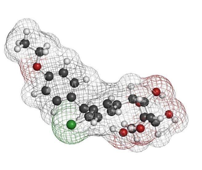 dapagliflozin FDA priority review for heart failure preserved ejection fraction