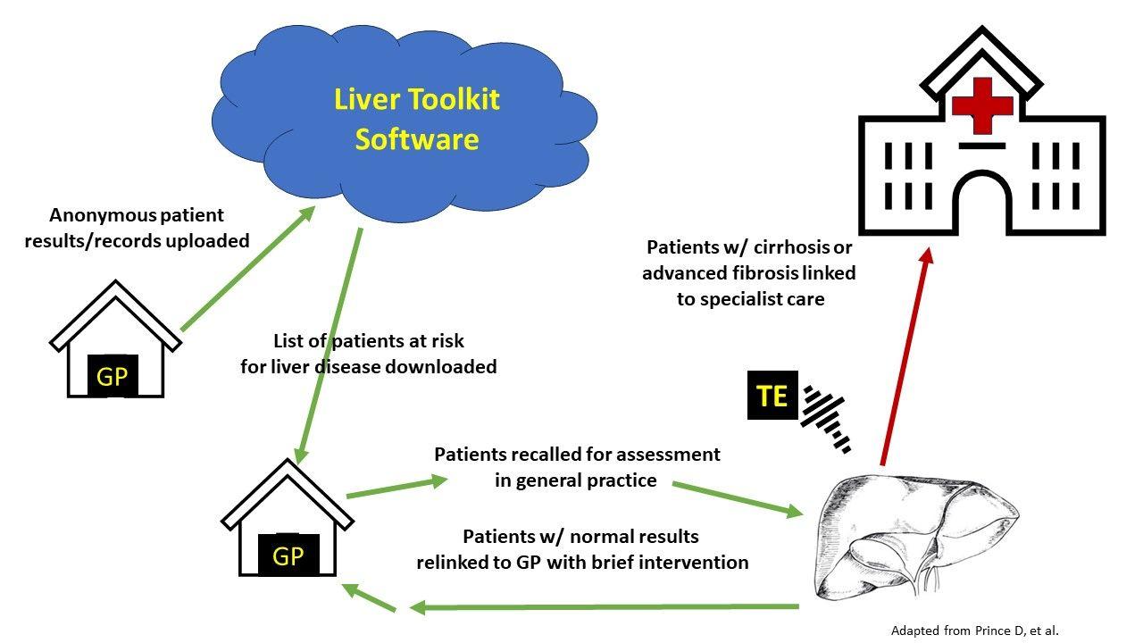 Cloud-Based "Liver Toolkit" Identifies Primary Care Patients at High Risk for Fibrosis, Requiring Referral Image Credit AASLD