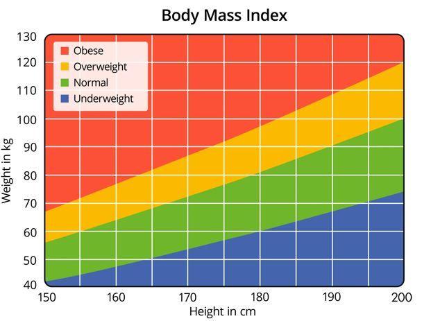 AMA Urges Clinicians to De-emphasize Use of BMI to Gauge Health, Obesity  BMI ©Zerbor/Adobe Stock