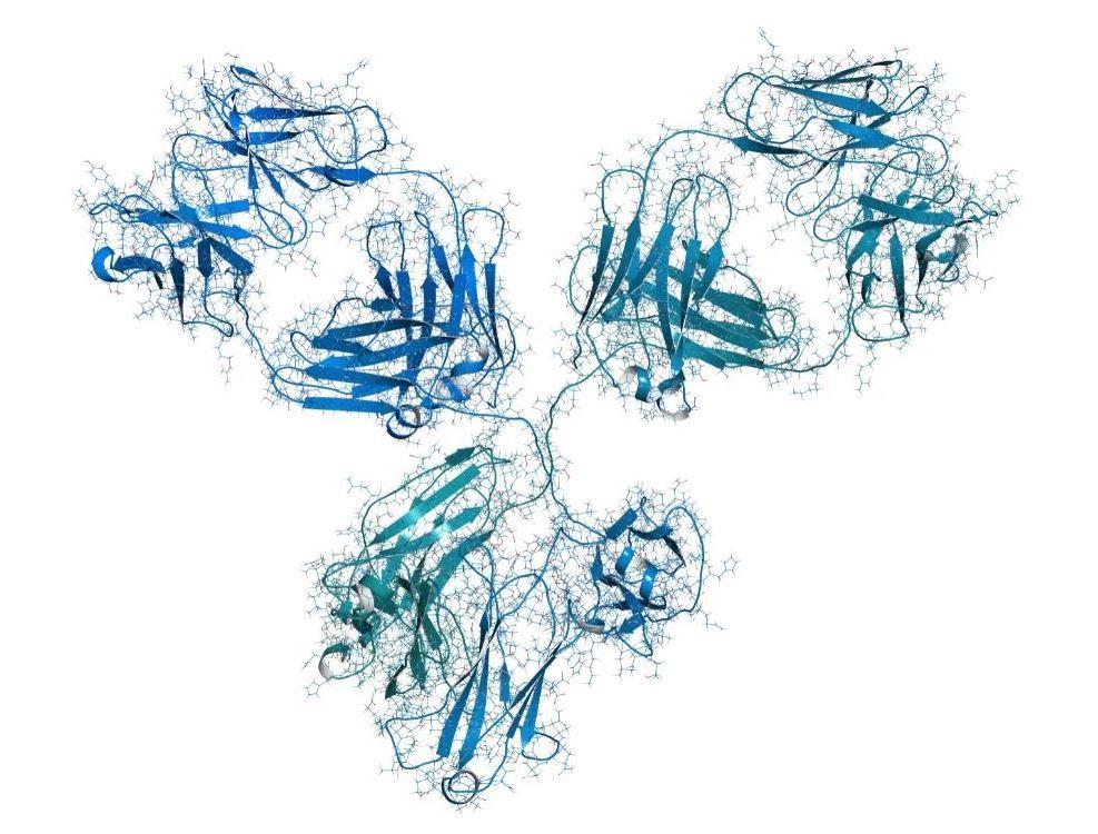 tezepelumab molecule