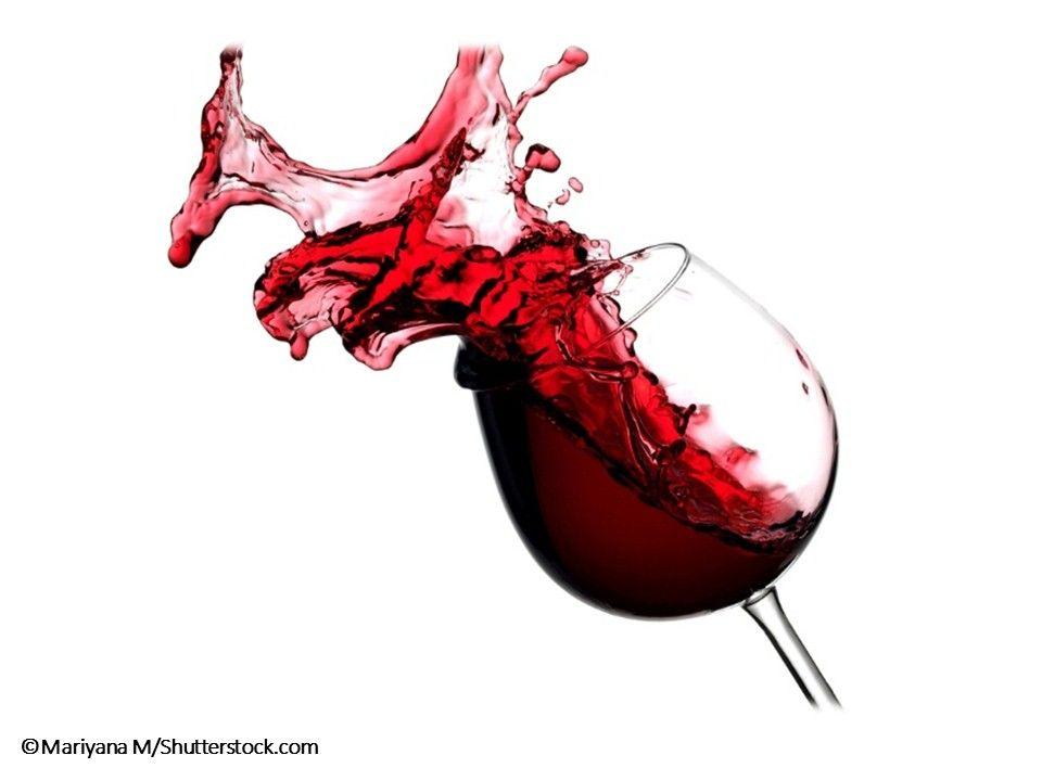 10 New Wonders of Wine 