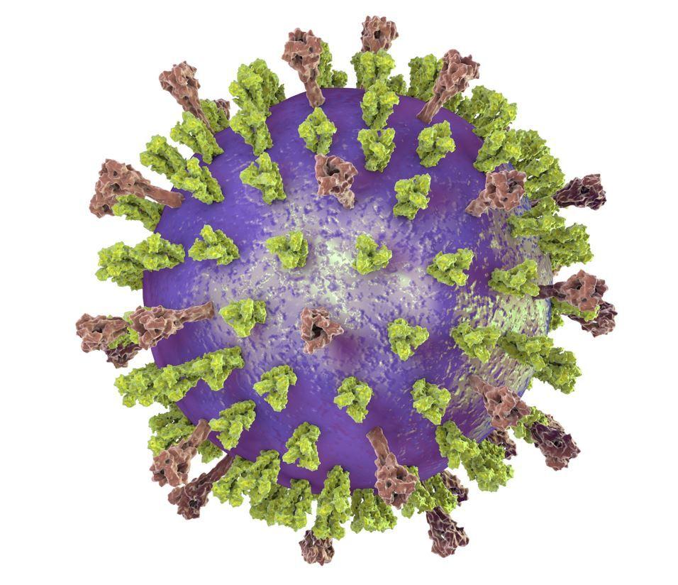 Respiratory syncytial virus   
Kateryna Kon/stock.adobe.com