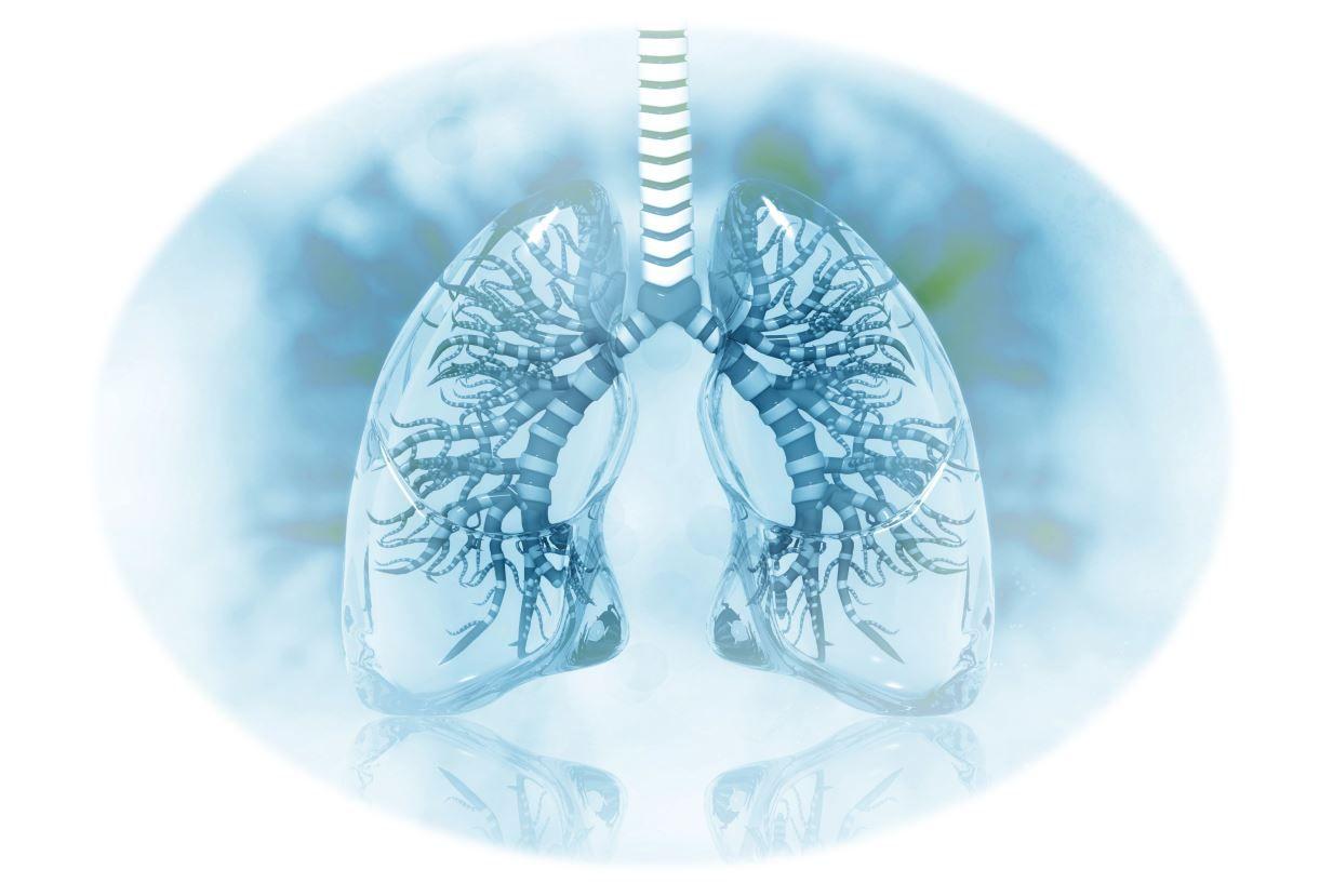 COPD research, COPD: A Catch-up Quiz, 5 question quiz on COPD research, primary care, lung, lung health