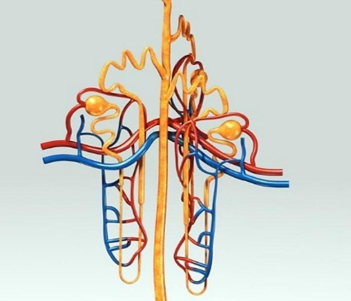 ESRD, loop diuretics, dialysis