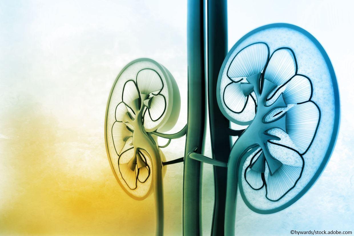 Finerenone reduced progression to renal failure 