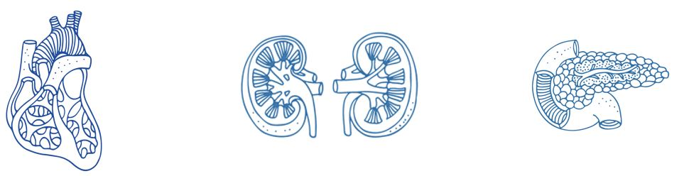 GLP-1RAs, SGLT-2 Inhibitors Tied to Lower Adverse Cardiovascular and Liver Events in Persons with T2D, MASLD