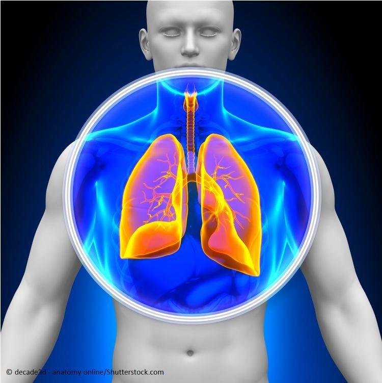 Steroid-sparing Rx for Severe Asthma: What is In the Pipeline?