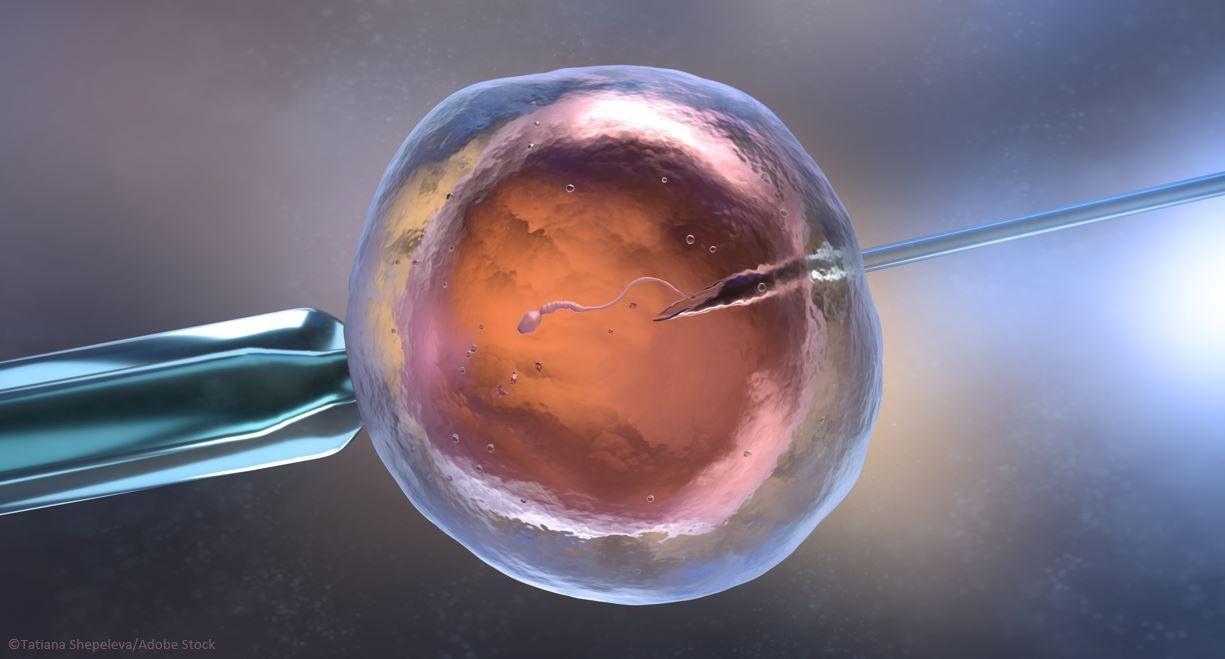 Fertility Treatment Impact on Cardiometabolic Health in Offspring Found Extremely Small