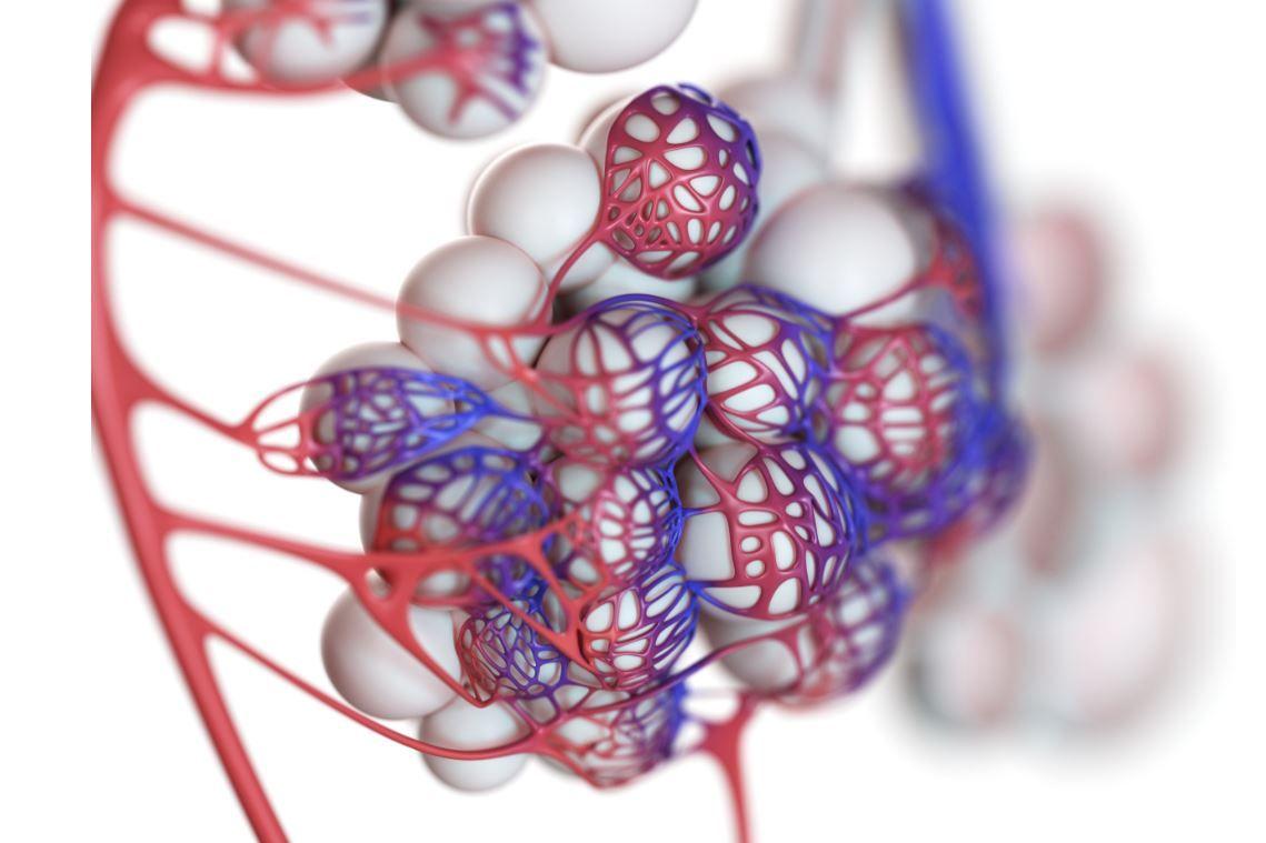 Biomarkers for COPD 