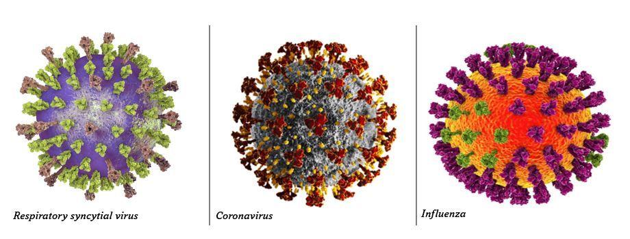 The Tripledemic May Have Arrived as CDC Reports Record Flu Season