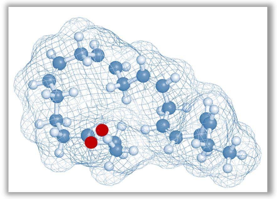 EVAPORATE: Icosapent Ethyl Added to Statins Slowed Coronary Atherosclerosis Progression