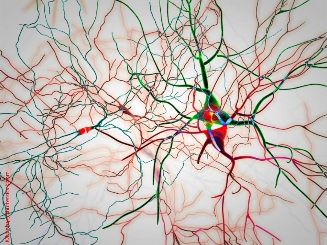 Long COVID Emotional Symptoms Associated with Changes in Brain Structure and Function