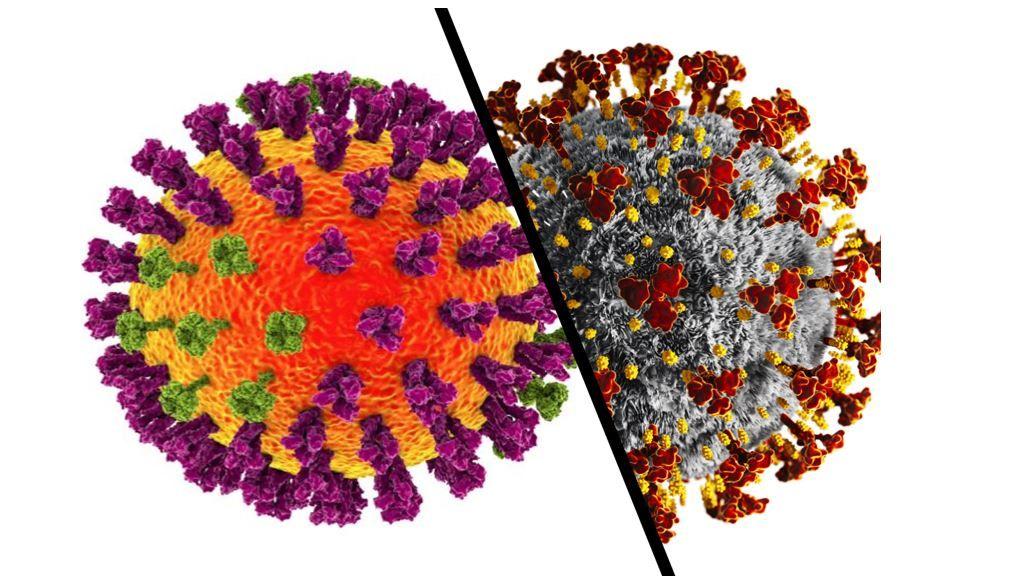 Influenza Coinfection with COVID-19: NIH Treatment Considerations 