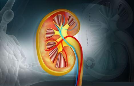 Chronic Kidney Disease Linked to Increase in Incident Diabetes