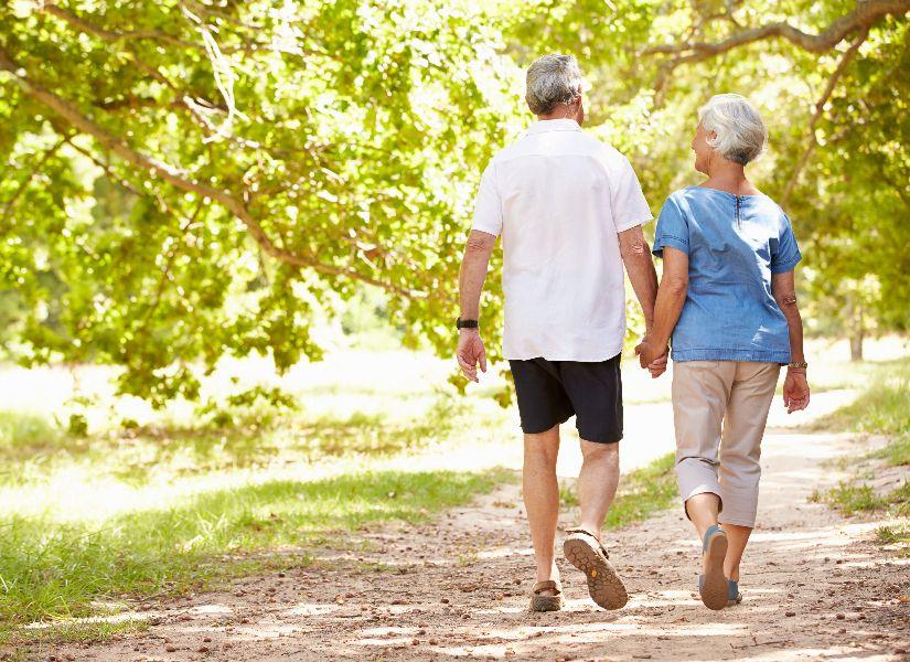 Senior couple walking together in the countryside, back view