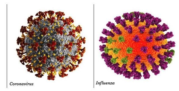 Pfizer/BioNTech Combination Flu/COVID-19 Shot Misses Key Primary Phase 3 Endpoint / image credits : ©Kateryna_Kon/stock.adobe.com