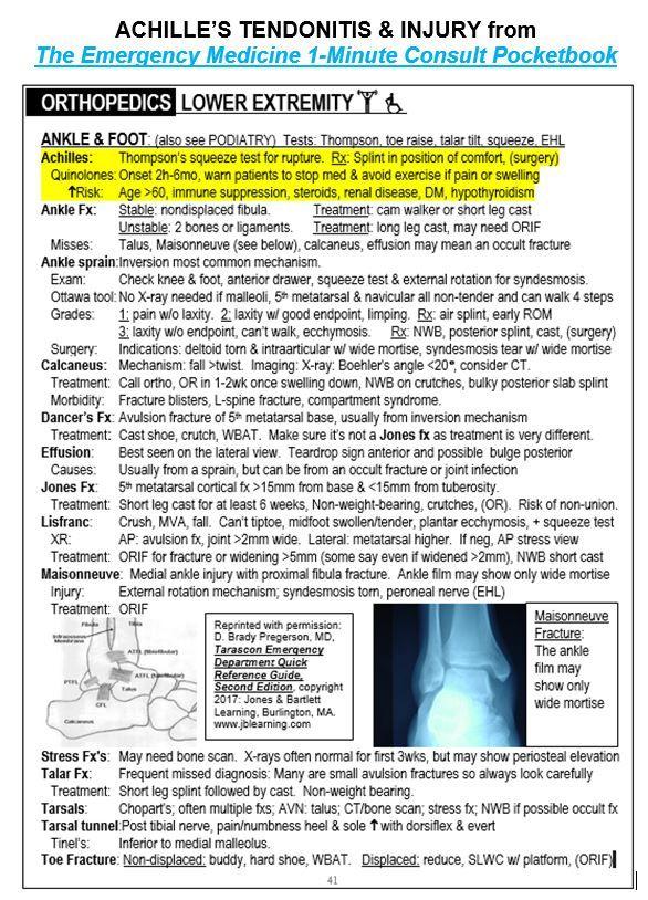 Achilles rupture, quinolones 