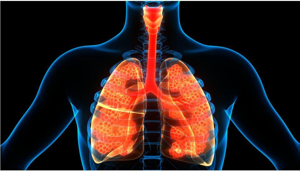 Dupilumab Associated with Reduced Oral Corticosteroids in Severe Asthma, Regardless of Baseline OCS Dose