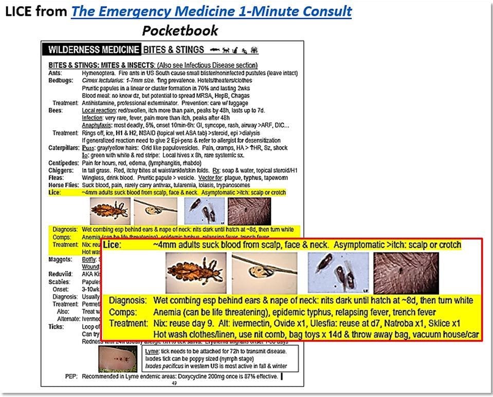 lice infestation is associated with iron deficiency anemia 