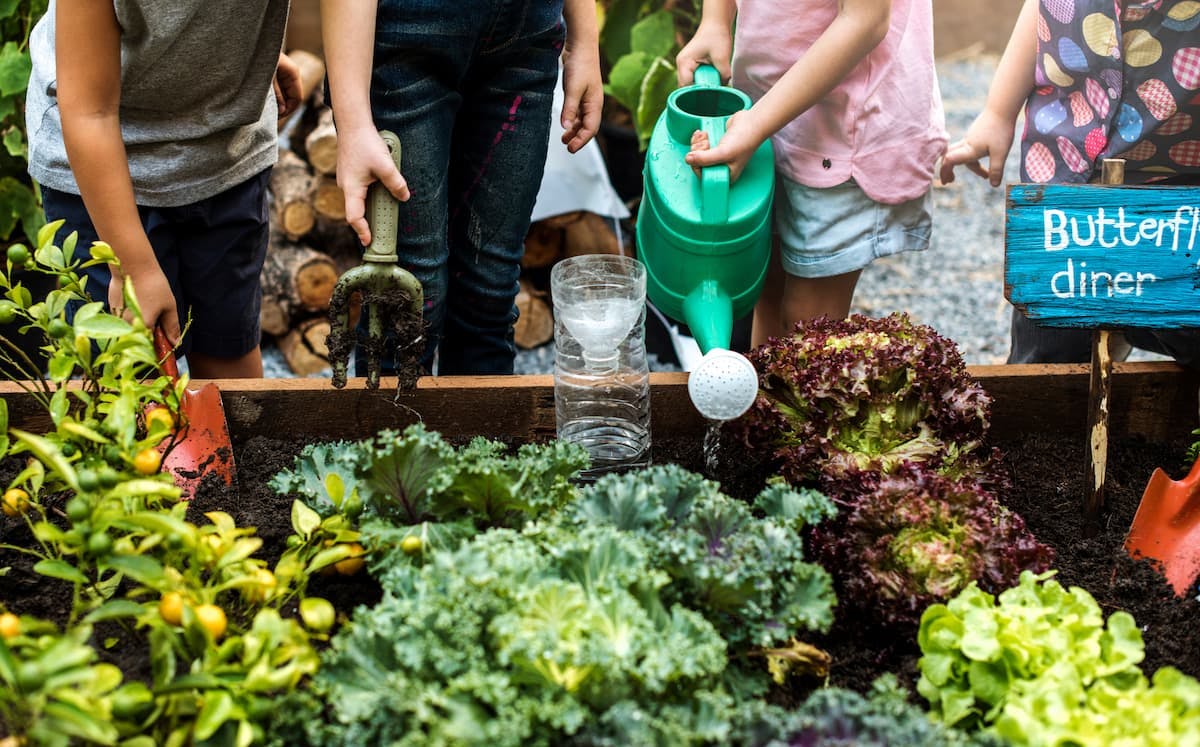 Group of kindergarten kids learning gardening outdoors