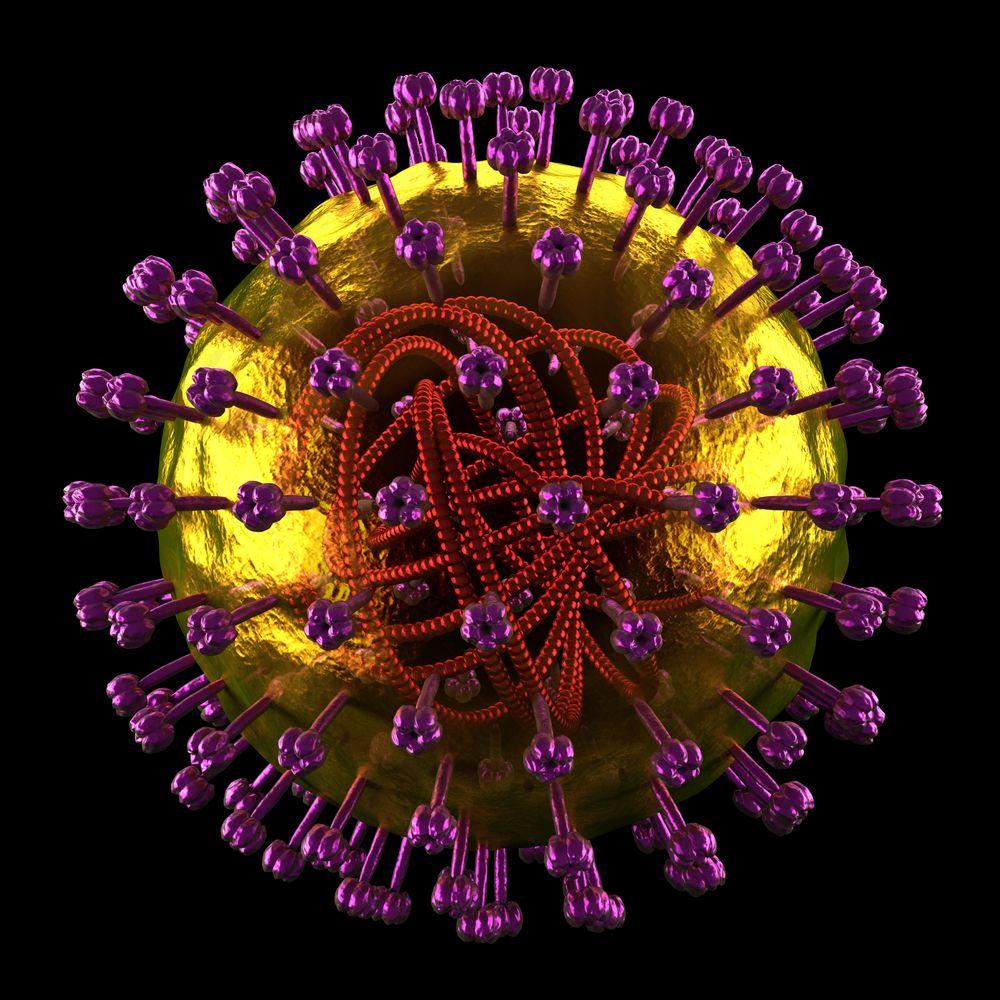 Mumps and Rubella-Overlooked and Disrespected?    