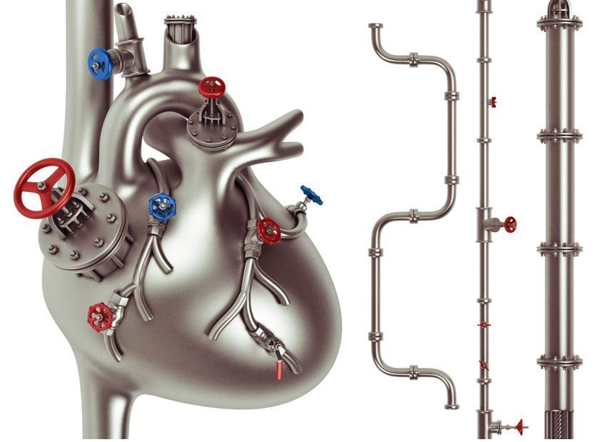 Cardiovascular Disease: Top Papers in 2022