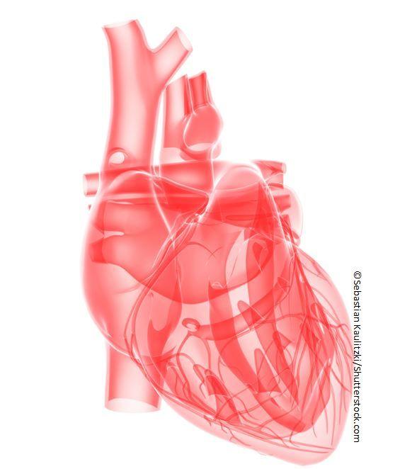 Refining Terms in Afib: Moving Away from “Valvular” and “Nonvalvular”