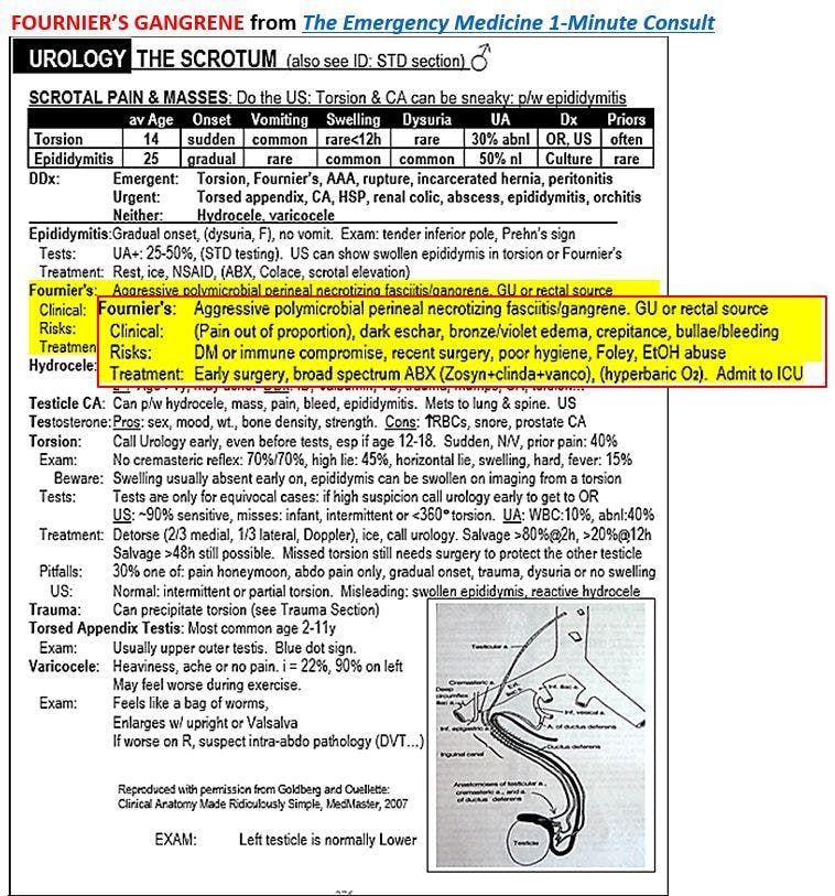 Fournier's gangrene, necrotizing soft tissue infection 