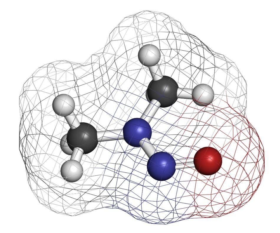 generic ranitidine dsitribution stopped, N-nitrosodimethylamine