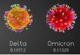 IDWEEk 2023 COVID-19 mRNA-1273 Booster Most Effective Among Adults Aged 65 and Older During Delta, Omicron Surges  image credit coronavirus © PX Media/stock.adobe.com